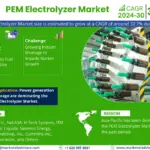 Global PEM Electrolyzer Market