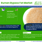 Global Rumen Bypass Fat Market